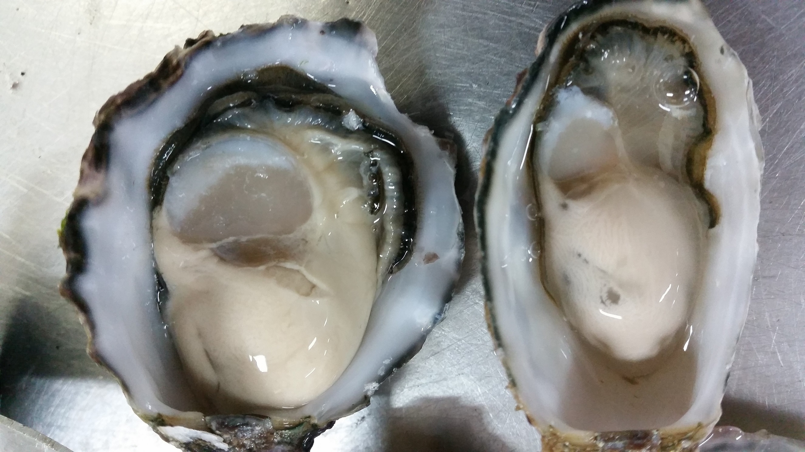 Excellent compare to normal